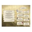 9782809675030-Cahier de vacances 2025 Fort Boyard - Les Incollables - 6e-5e - livre d'exercices-P_405141446_4-5