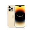 194253381211-Apple iPhone 14 Pro Max - Smartphone - 5G - 256 Go - or-P_405142747_2-0
