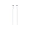 0194253387640-Apple iPad 10e gen - tablette 10.9" - 64 Go - bleu-P_405142766_1-5