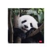 8051128758849-Legami - Calendrier mensuel 2024 - 30 x 29 cm - life is pandastic-P_405143037_2-0