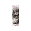 8051128759365-Calendrier mensuel 2024 - 16 x 49 cm - chatons-P_405143089_2-0