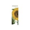 8051128759747-Legami - Calendrier mensuel 2024 - 16 x 49 cm - herbier-P_405143127_1-0