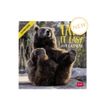 8051128759884-Legami - Calendrier mensuel 2024 - 18 x 18 cm - take it easy -P_405143141_1-0