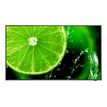 5028695120495-NEC MultiSync E658 - Classe de diagonale 65" (64.5" visualisable) - E Series LED display unit - signalisation numérique - 4K UHD (2160p) 3840 x 2160 - HDR - LED à éclairage direct -P_405143288_1-0
