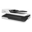 8715946605630-Epson WorkForce DS-1630 (B11B239401) - scanner de documents A4 - 1200 dpi x 1200 dpi - USB-P_405143584_7-3