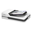 8715946605630-Epson WorkForce DS-1630 (B11B239401) - scanner de documents A4 - 1200 dpi x 1200 dpi - USB-P_405143584_8-4