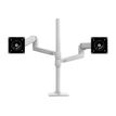 0698833061581-Ergotron LX - kit de montage - pour 2 écrans LCD - blanc-P_405143799_3-2