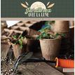 3592930027075-Calendrier illustré BOUCHUT 30 x 30 cm JARDINEZ 70 %--0