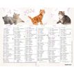 3664447151366-Mini calendrier illustré - 6 mois par face - 13,5 x 17,5 cm - différents modèles dispon-P_405149421_1-0