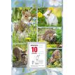 3664447162140-Oberthur - Plaque illustrée avec bloc éphéméride humoristique - 16 x 33 cm - disponibl-P_405149440_2-1