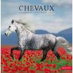 3592930027037-Calendrier illustré BOUCHUT 30 x 30 cm CHEVAL 70 %-P_405149836_1-0