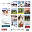 3592930027037-Calendrier illustré BOUCHUT 30 x 30 cm CHEVAL 70 %-P_405149836_3-2
