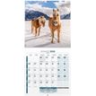 3592930027235-Calendrier illustré BOUCHUT 15 x 15 cm CHEVAL 70 %-P_405149840_2-1