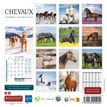 3592930027235-Calendrier illustré BOUCHUT 15 x 15 cm CHEVAL 70 %-P_405149840_3-2