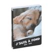 3660942083904-Agenda Funny Pets - 1 jour par page - 12 x 17 cm - chiot écouteurs - Exacompta-P_405161224_1-0
