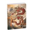 3660942083942-Agenda Samouraï - 1 jour par page - 12 x 17 cm - dragon - Exacompta-P_405161235_1-0