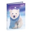 Agenda Pote à pattes mignons - 1 jour par page - 12 x 17 cm - ourson - Quo Vadis