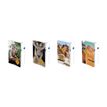 3147280273292-Agenda Roadsign - 1 jour par page - 12 x 17 cm - 5 modèles disponibles - Hamelin-P_405161813_7-5