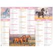 3664447165202-Calendrier Cheval - 6 mois par face - 40,5 x 55 cm - Oberthur-P_405161982_1-0