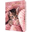 3664447168036-Agenda Chaton tendre - 1 jour par page - 12,5 x 17,5 cm - Oberthur-P_405161997_1-0