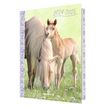 3664447171234-Agenda Cheval brun - 1 jour par page - 12,5 x 17,5 cm - Oberthur-P_405162003_1-0