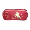 3666311026039-Trousse rectangulaire Cybel - 1 compartiment - rose - Bagtrotter-P_405164106_1-0