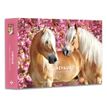 9782755667851-Agenda Calendrier Chevaux-P_405166323_1-0