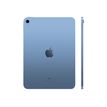 0194252516393-Apple Ipad 10,2 9ème génération – tablette 10,2“ - 256Go - gris sidéral-P_405181338_3-2