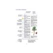 9782036068735-Le dictionnaire Larousse Junior et son dictionnaire en ligne - CE / CM-P_405184149_2-2