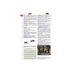 9782036068537-Le dictionnaire Larousse Super Major - CM / 6e-P_405184154_2-1