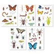 8410782194293-APLI kids - Adhésif décoratif - insectes - 5 feuilles - non permanent (pack de 50)-P_405184294_2-1
