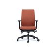 3700339992294-Fauteuil de bureau BRIAN - accoudoirs réglables - Appui-tête en option - dossier en tiss-P_405185502_1-0