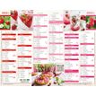 3664447193458-Mini calendrier illustré - 6 mois par face - 13,5 x 17,5 cm - différents modèles disponibles - Obert--2