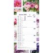 3664447209371-Calendrier mensuel en papier sur plaque nova - 16 x 33 cm - différents modèles disponibl-P_405186422_4-3
