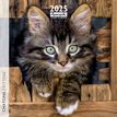 3494150160238-Calendrier mensuel 30x30 cm - 16 mois - Chatons-P_405186514_1-0