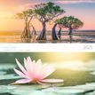3494150160733-Calendrier mensuel 30x30 cm - 16 mois - Prestige Nature-P_405186558_1-0
