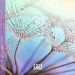 3494150160931-Calendrier mensuel 16x16 cm - 16 mois - Goutte de rosée-P_405186576_1-0