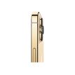 3701202616279-Apple iPhone 13 Pro - Smartphone reconditionné grade A (très bon état) - 5G - 6/256 Go -P_405199423_5-3
