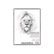5411028016747-Aurora Art & Craft - Livre de dessin et d'esquisse - 220 x 297 mm - 32 pages - blanc-P_405216592_1-0