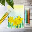 884851045096-Pentel Arts - Boite de 12 feutres de coloriage - encre ultra-lavable SCS2E-24-P_405216954_2-1