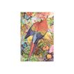 9781439793084-Paperblanks Nature Montages - Journal - reliure cousue et collée - mini - 90 x 140 mm 176 pages - ligné --P_405223688_1-0