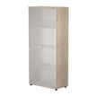 0404052241440-Bibliothèque haute Trend - L80xP35xH180 cm - 2 portes en verre dépoli - imitation chêne-P_405224144_1-0