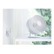 4895252508062-TP-Link RE365 v3 - Répéteur Wifi - 100Mb LAN - Wi-Fi 5 - 2.4 GHz, 5 GHz-P_405225104_10-9