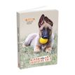 3147280273254-Agenda LA SPA 17 x 22 cm - 1 jour par page - différents modèles disponibles - Hamelin -P_405225919_2-0