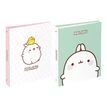 3135252004418-Classeur 4 anneaux - Dos 50 mm - A4 - Molang - Viquel-P_405226421_1-0