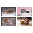 3135251384719-Sous-main Animaux 4 visuels - 59,5 x 36,2 cm - Assortis - Viquel-P_405226461_1-0