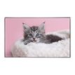 3135251384719-Sous-main Animaux 4 visuels - 59,5 x 36,2 cm - Assortis - Viquel-P_405226461_2-1