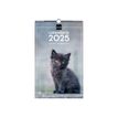 8422952382768-Finocam - Calendrier - fixation murale - 2025 - cute kittens - mois à afficher - 250 x 40-P_405226882_2-0