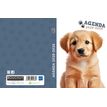 3592930025835-Agenda RDC reliure brochée année scolaire BOUCHUT "Chien" 1 jour /page 12 x 17 cm PEFC 7-P_405227442_2-1