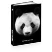 3661507015156-Agenda ANIMAUX WILD 12 x 17 cm - 3 modèles au choix - Kid'Abord-P_405231781_3-2